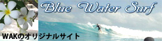 WAK�̃T�[�t���|�[�g�������ƌ������l�͂�����