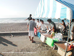 �J���t���I