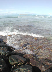 �N���b�N�Ŋg��