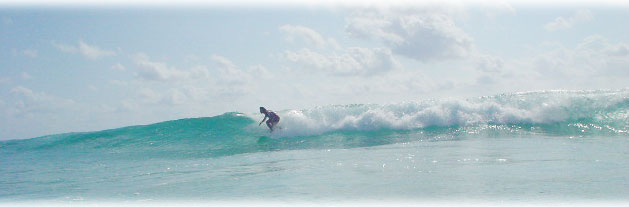 小波だけど乗りやすい